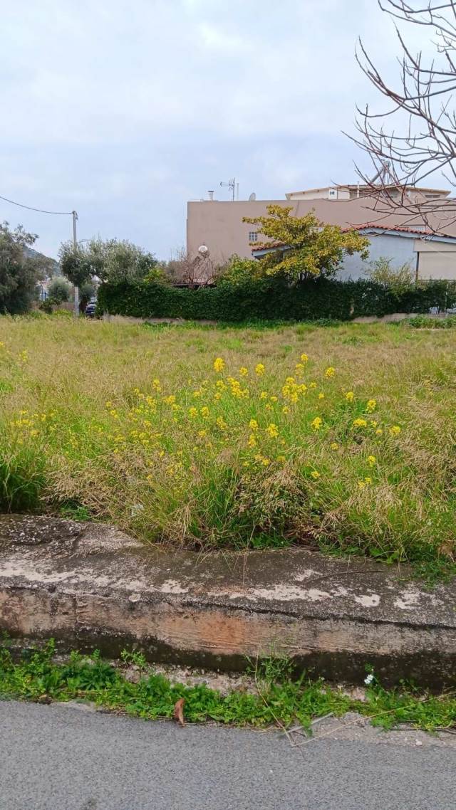 (For Sale) Land Plot ||  West Attica/Ano Liosia - 170 Sq.m, 36.000€ 