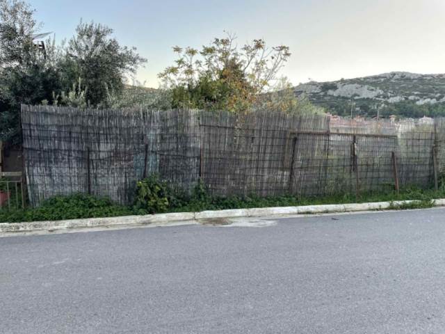 (Προς Πώληση) Αξιοποιήσιμη Γη Οικόπεδο || Δυτική Αττική/Φυλή - 566 τ.μ, 125.000€ 