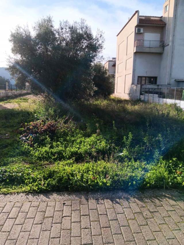 (Προς Πώληση) Αξιοποιήσιμη Γη Οικόπεδο || Δυτική Αττική/Άνω Λιόσια - 288 τ.μ, 68.000€ 