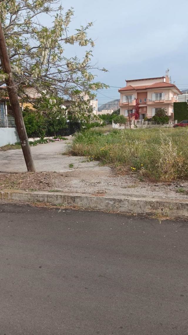(Προς Πώληση) Αξιοποιήσιμη Γη Οικόπεδο || Δυτική Αττική/Άνω Λιόσια - 195 τ.μ, 33.000€ 