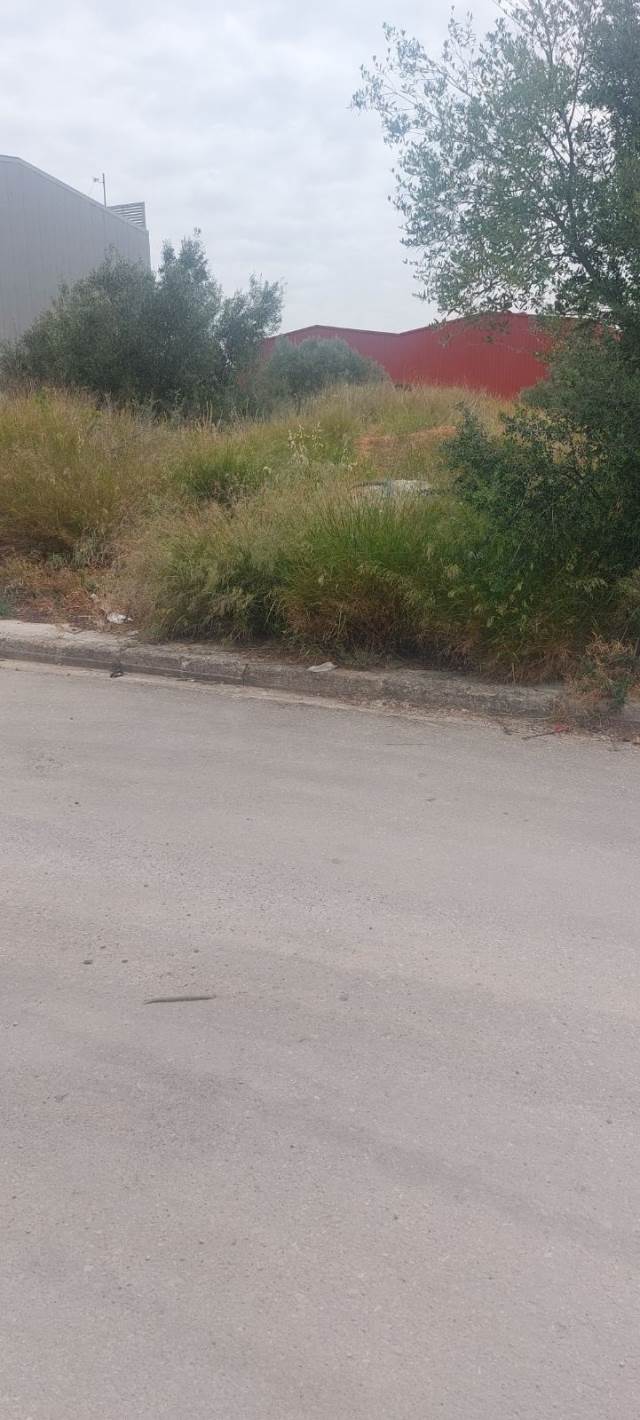 (Προς Πώληση) Αξιοποιήσιμη Γη Βιομηχανικό Οικόπεδο || Δυτική Αττική/Άνω Λιόσια - 2.005 τ.μ, 520.000€ 