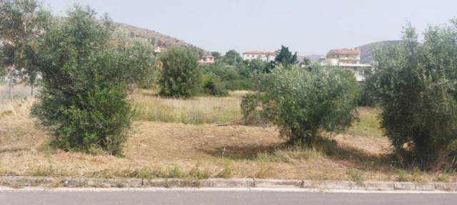 (For Sale) Land Plot ||  West Attica/Fyli - 879 Sq.m, 270.000€ 