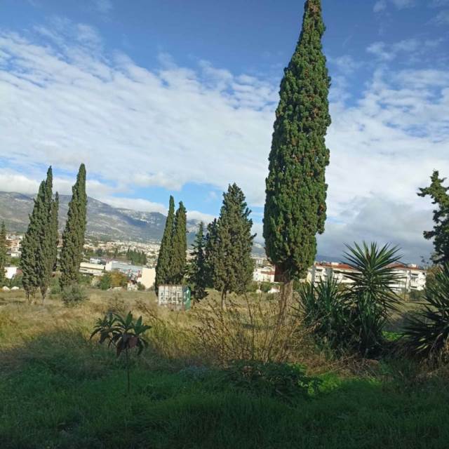 (Προς Πώληση) Αξιοποιήσιμη Γη Οικόπεδο εντός σχεδίου || Ανατολική Αττική/Αχαρνές (Μενίδι) - 211 τ.μ, 40.000€ 