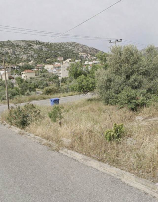(Προς Πώληση) Αξιοποιήσιμη Γη Οικόπεδο || Δυτική Αττική/Φυλή - 1.068 τ.μ, 350.000€ 