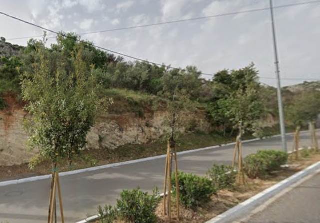 (Προς Πώληση) Αξιοποιήσιμη Γη Οικόπεδο || Δυτική Αττική/Φυλή - 1.197 τ.μ, 180.000€ 