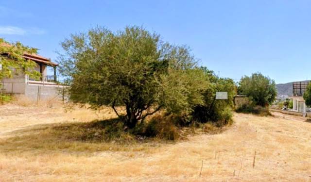 (Προς Ενοικίαση) Αξιοποιήσιμη Γη Οικόπεδο || Δυτική Αττική/Άνω Λιόσια - 576 τ.μ, 500€ 