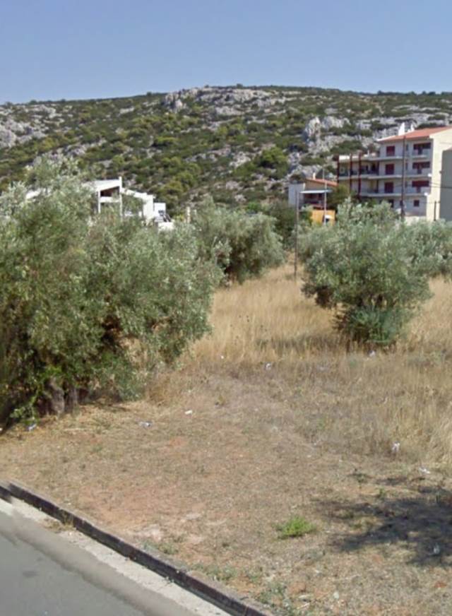 (Προς Πώληση) Αξιοποιήσιμη Γη Οικόπεδο || Δυτική Αττική/Φυλή - 654 τ.μ, 145.000€ 