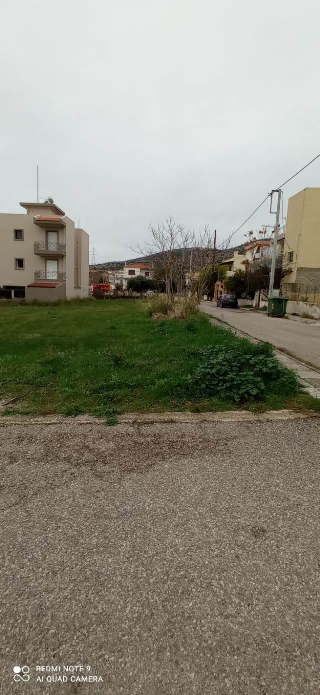 (Προς Πώληση) Αξιοποιήσιμη Γη Οικόπεδο || Δυτική Αττική/Άνω Λιόσια - 313 τ.μ, 50.000€ 